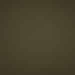 RYE/1796 Olive Cavalry Twill