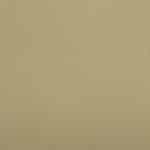 RYE/1860 Stone Calvary Twill