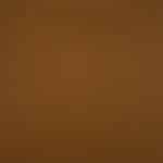 RYE/1791 Tan Cavalry Twill